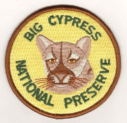 patches